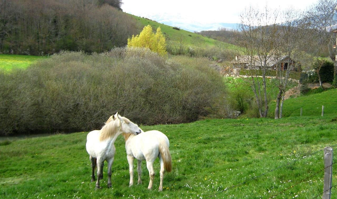 Alojamiento Rural Las Indianas Villar  Εξωτερικό φωτογραφία